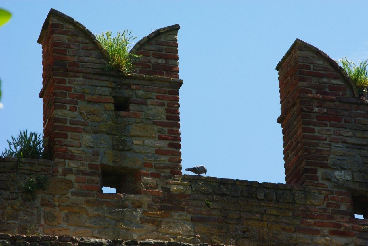 Villa Dircea CastellʼArquato Εξωτερικό φωτογραφία